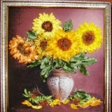 Солнечное сияние