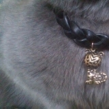 Колье для котиков "Мой тигренок"