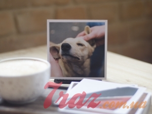 Dog. postcard with film photo